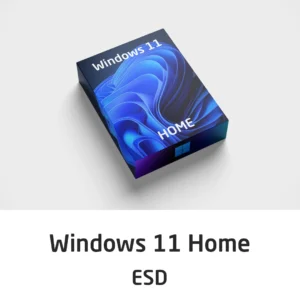Windows 11 Home 64 Bit ESD