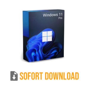 Windows 11 Professional 64 Bit ESD