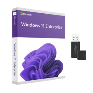 Windows 11 Enterprise 64 Bit auf USB
