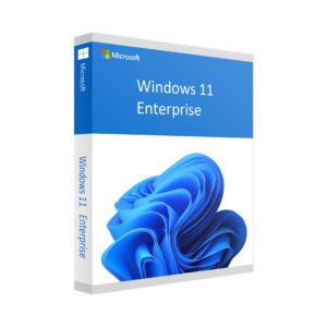 Windows 11 Enterprise 64 Bit ESD